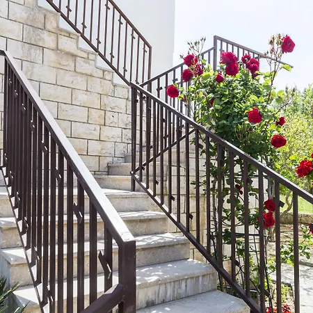 Cina ゲストハウス